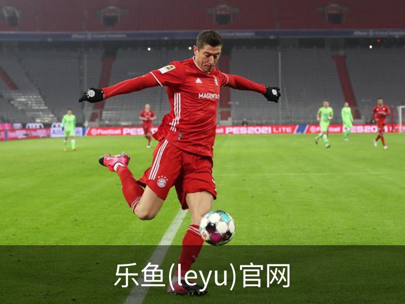 乐鱼(leyu)官网概况